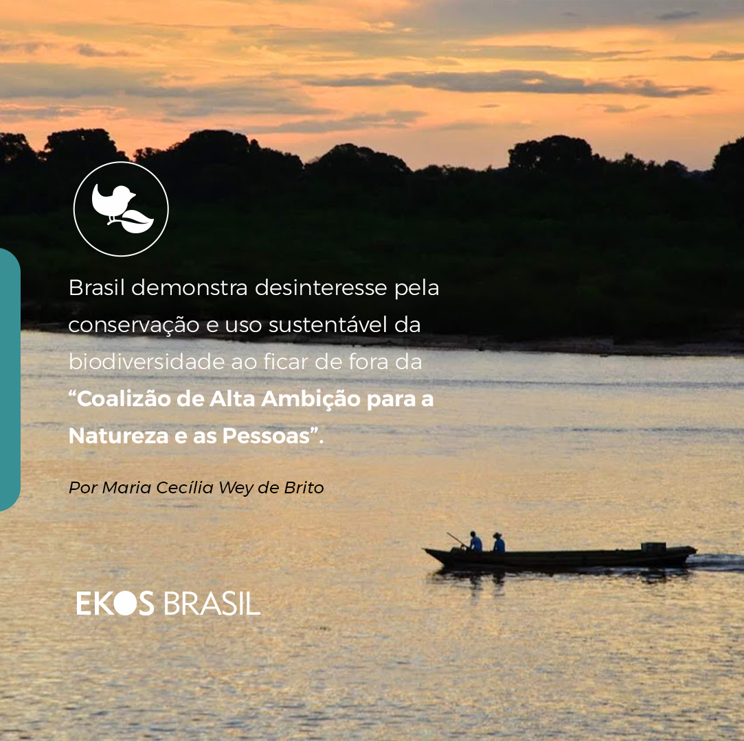 Coalizão de Alta Ambição para a Natureza e as Pessoas