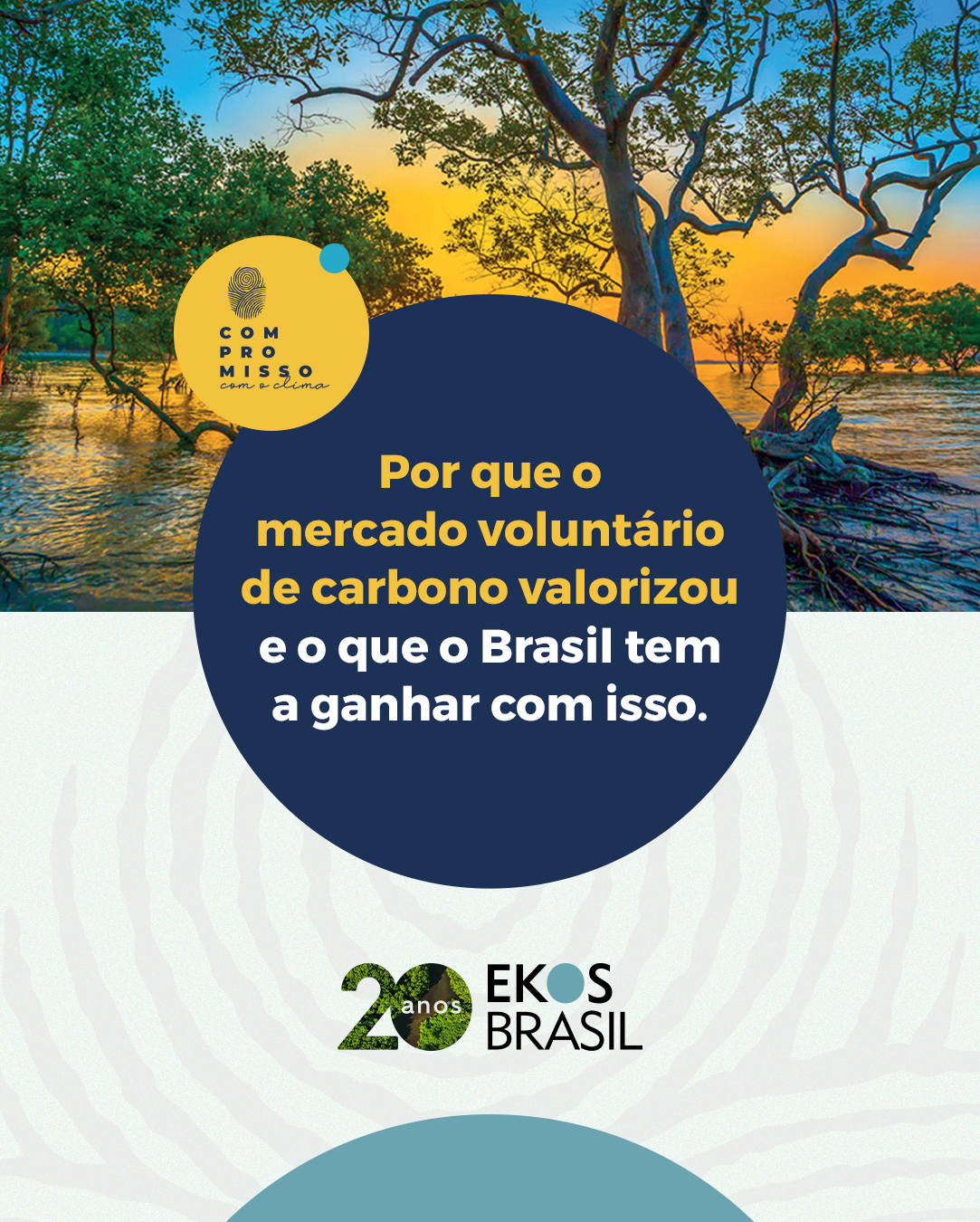 mercado voluntário de carbono