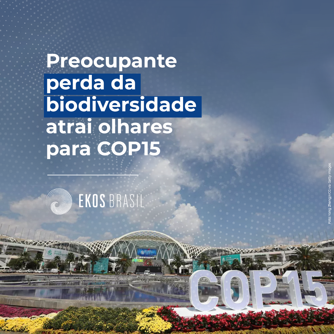 COP 15