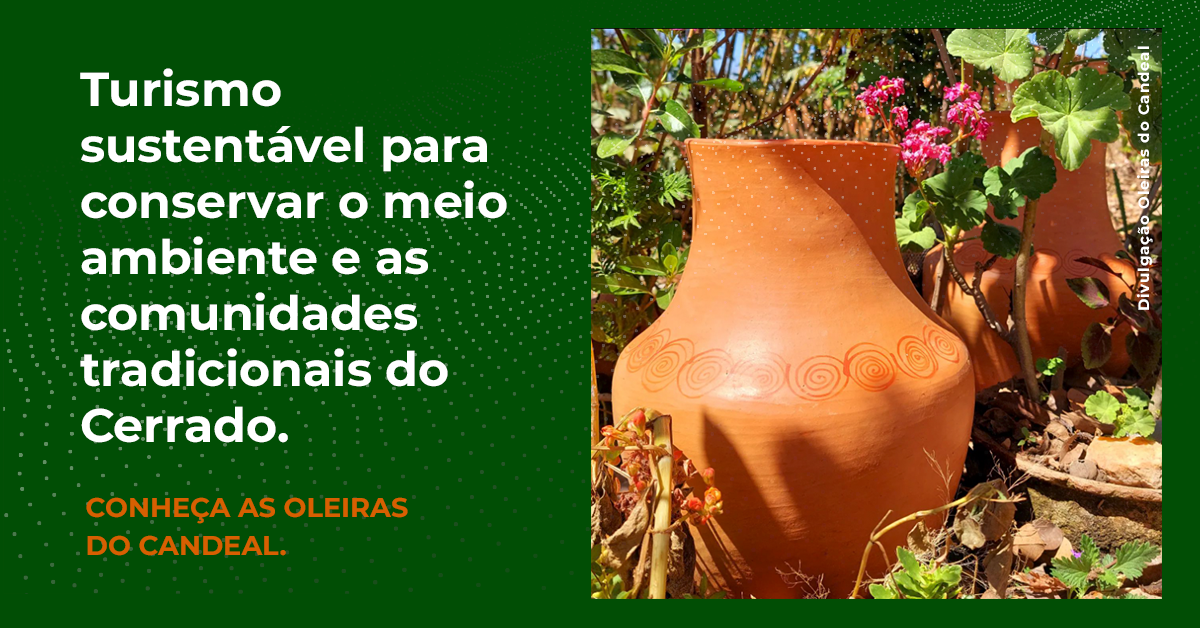 Turismo sustentável no Parque Cavernas do Peruaçu.