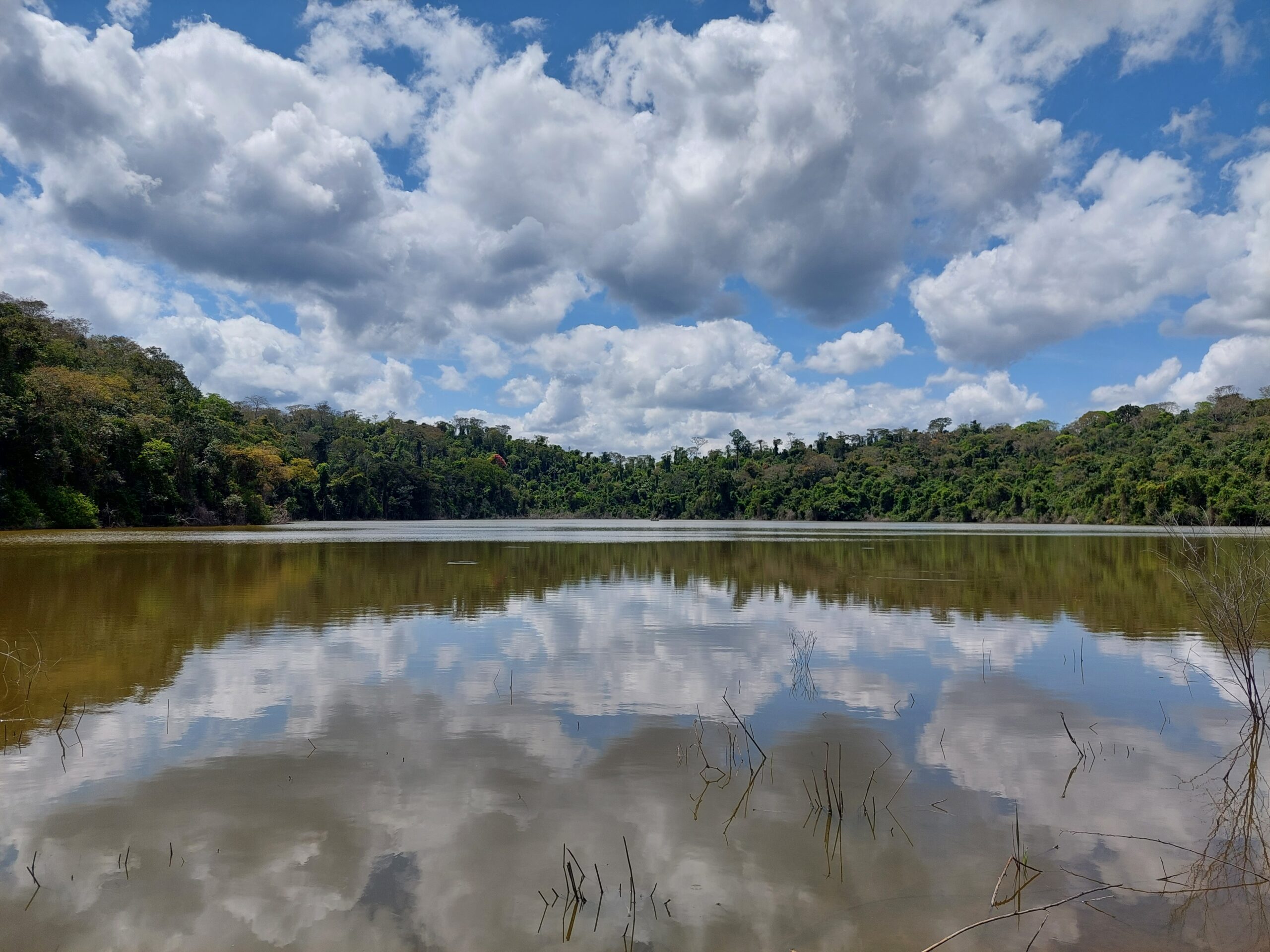 reconhecimento de campo