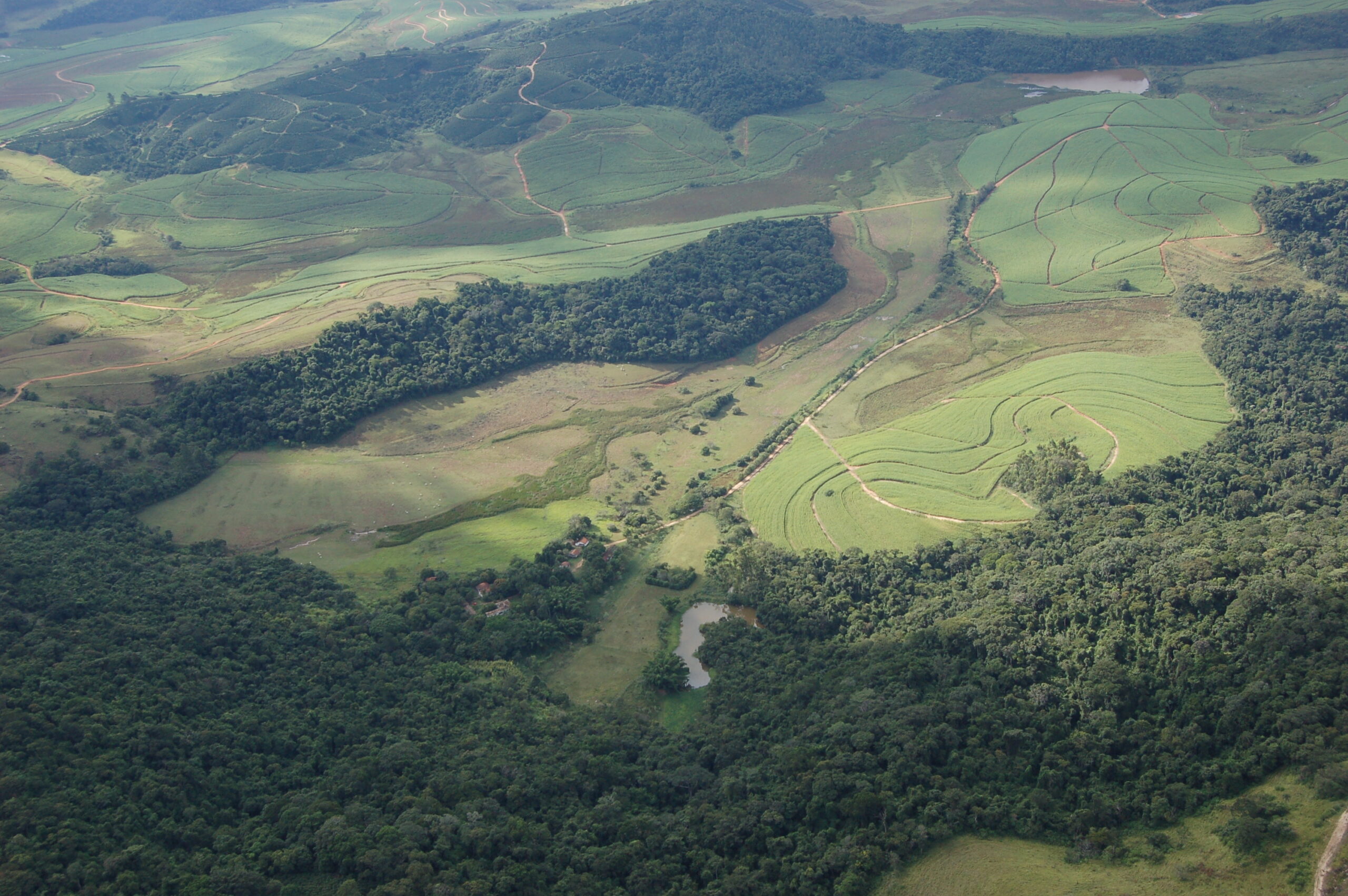 Reserva Particular de Patrimônio Natural (RPPN): um instrumento exitoso de conservação da natureza