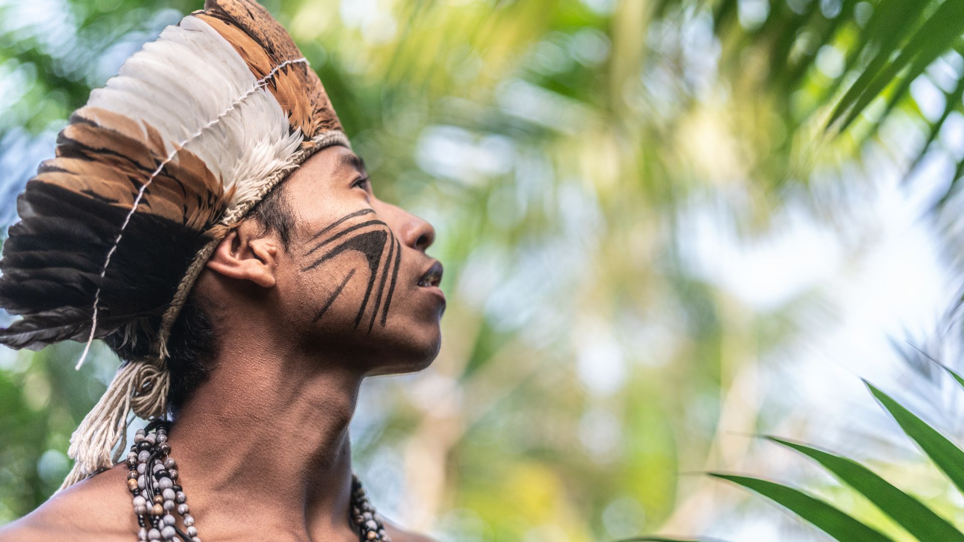 Na foto um homem indígena com pinturas culturais no rosto, utilizando um cocar e olhando para o céu, em meio a uma floresta.