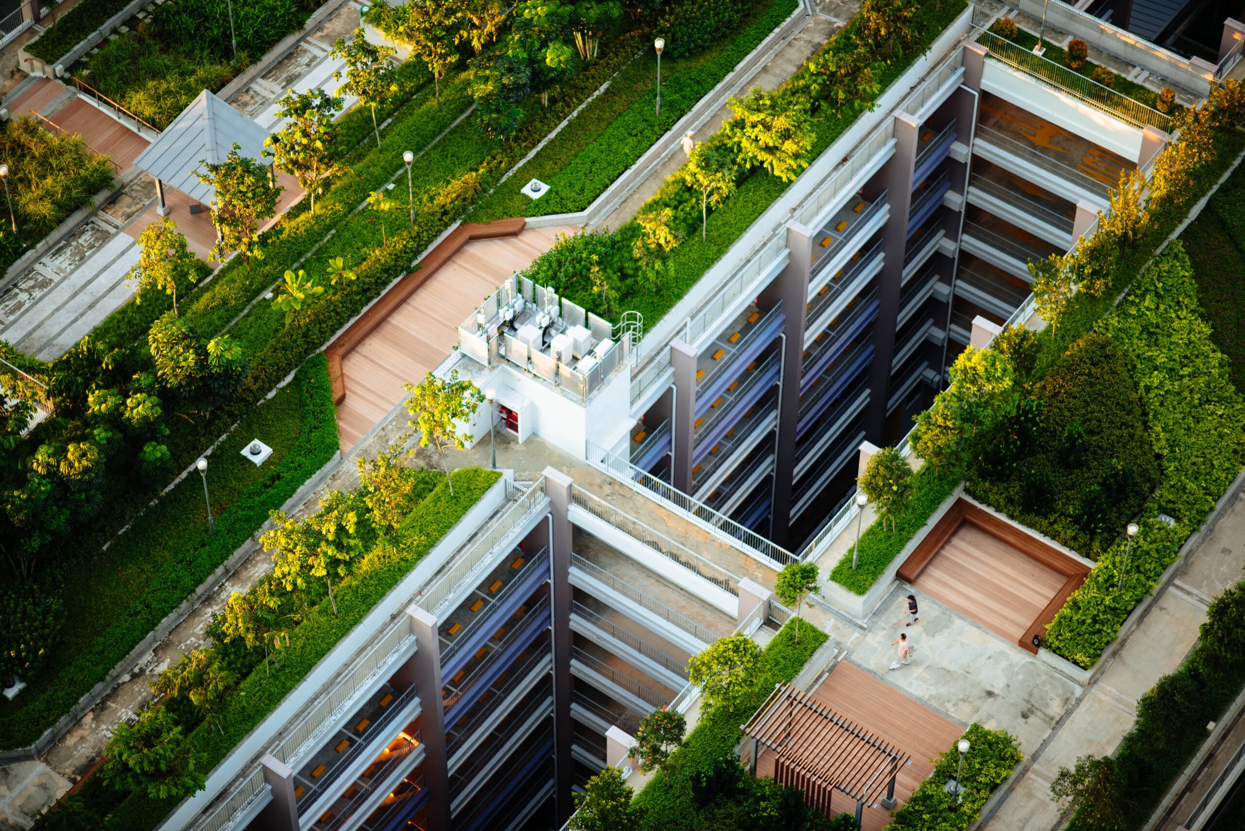 Soluções Baseadas na Natureza: quando a natureza inspira soluções para desafios globais